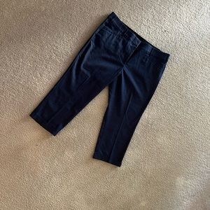 Lane Bryant Pants